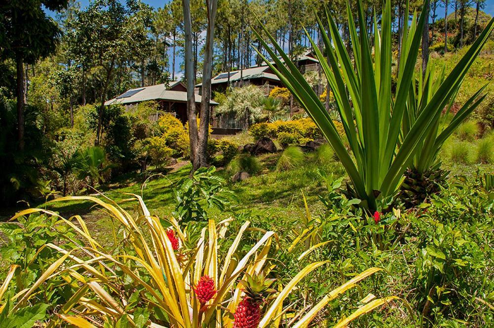 Lakaz Chamarel Exclusive Lodge Eksteriør bilde