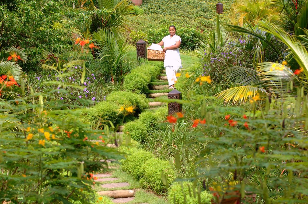Lakaz Chamarel Exclusive Lodge Eksteriør bilde